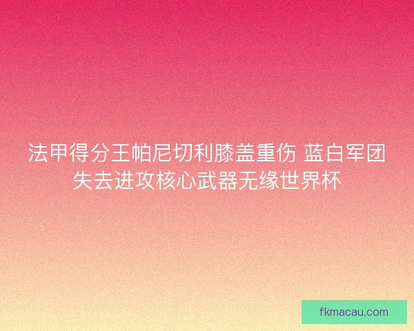 法甲得分王帕尼切利膝盖重伤 蓝白军团失去进攻核心武器无缘世界杯